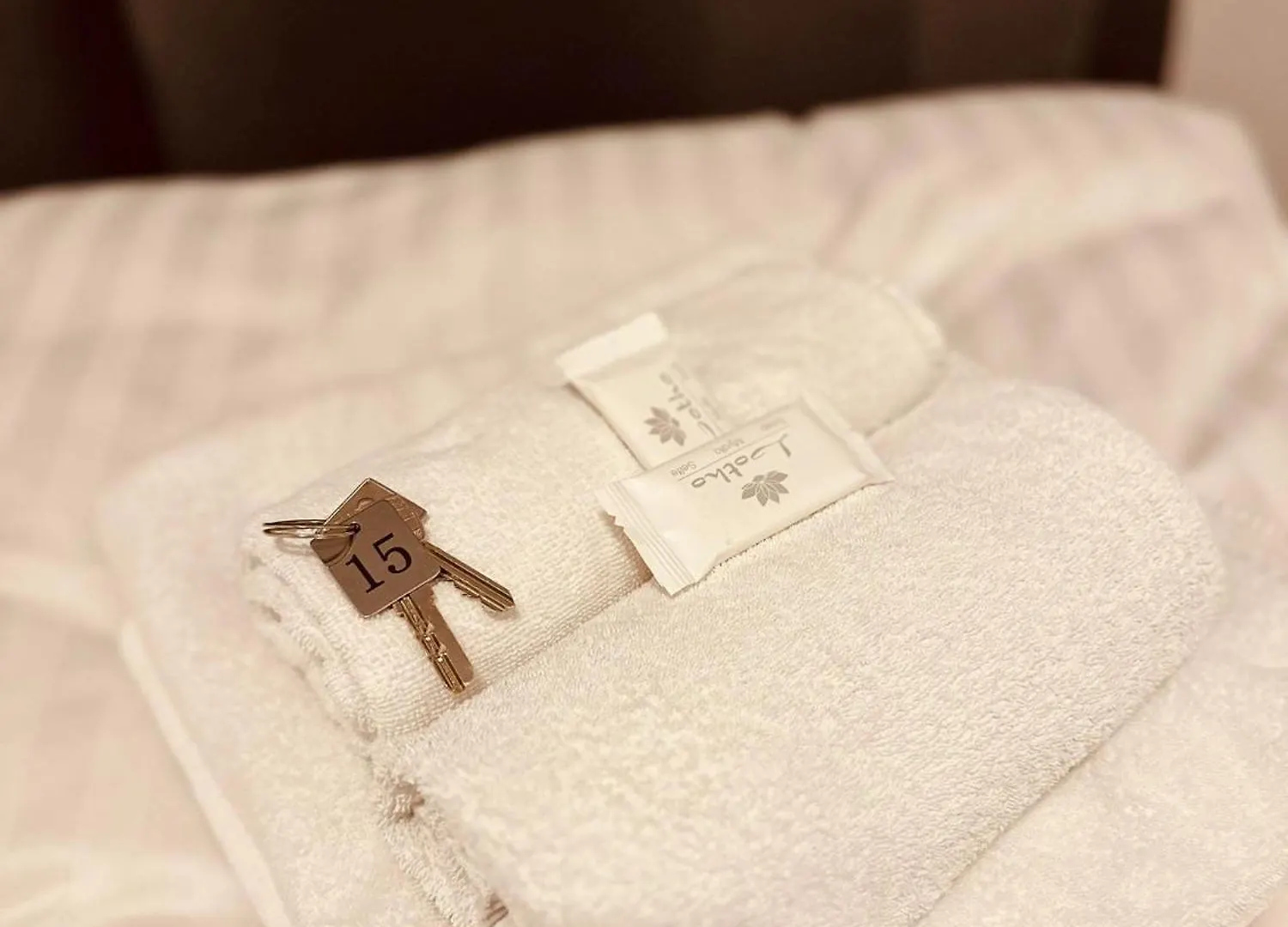Hotel Bff Airport Messe Schlaf - Duesseldorf Bed & Breakfast Düsseldorf